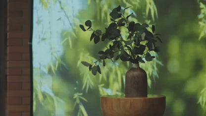 Magicbox Projector Curtain